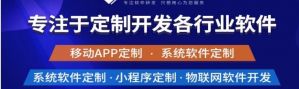 揭示專業軟件開發和定制公司的需求。</a>